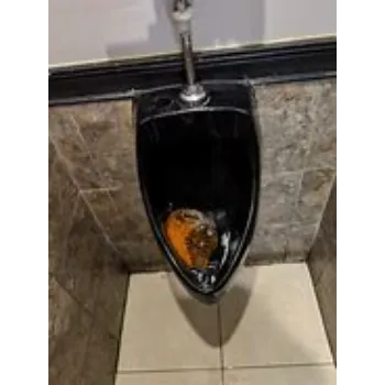urinal-5-2706453-43820.webp