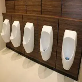 urinal-5-4789238-92125.webp