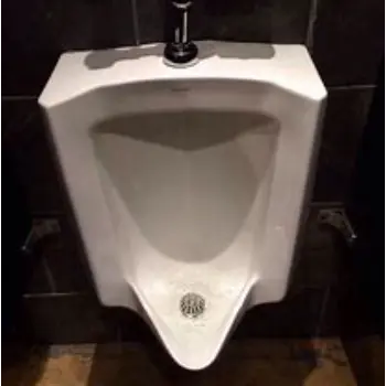 urinal-5-9569170-45441.webp