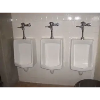 urinal-6-1367569-59599.webp