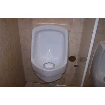 urinal-7-9753081-45321.webp