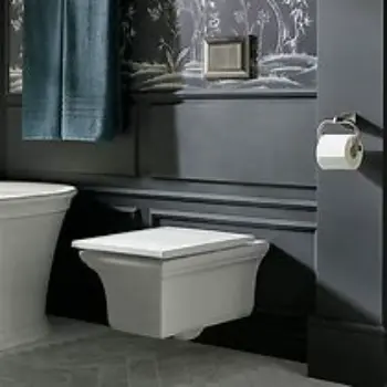 wall-hung-toilet-02-202277-80479.webp