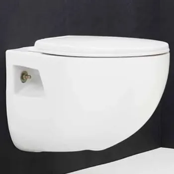 wall-hung-toilet-1-1717946-58110.webp