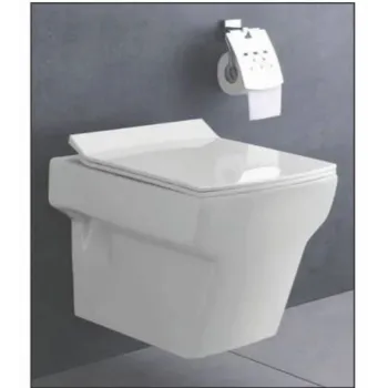 wall-hung-toilet-1-3490179-80734.webp