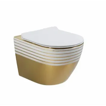 wall-hung-toilet-1-3805476-69122.webp