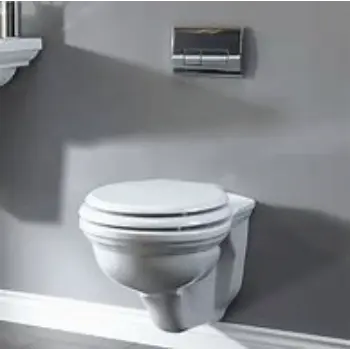 wall-hung-toilet-1-4814200-4110.webp