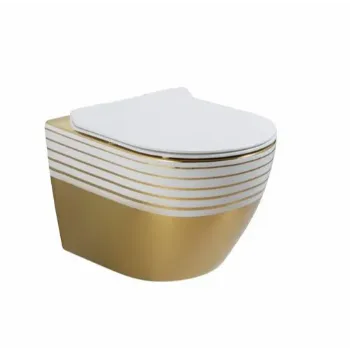 wall-hung-toilet-1-4925175-67082.webp