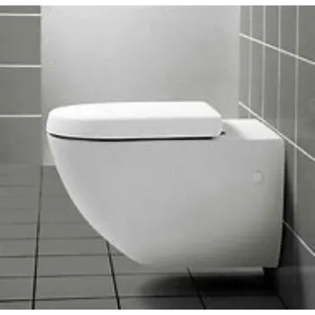 wall-hung-toilet-1-6105443-46909.webp
