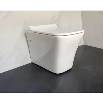 wall-hung-toilet-1-7345854-53936.webp