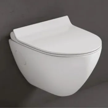 wall-hung-toilet-1-9638942-77301.webp