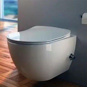 wall-hung-toilet-10-1559966-65255.webp