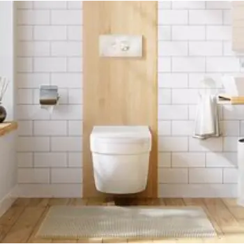 wall-hung-toilet-12-759091-93798.webp