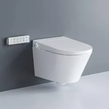 wall-hung-toilet-2-1613529-46263.webp