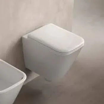wall-hung-toilet-2-3851658-48967.webp