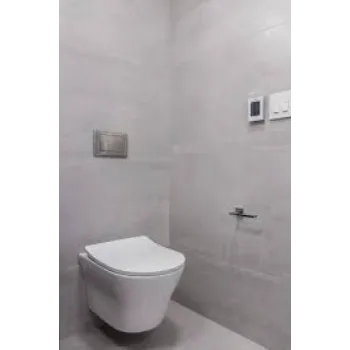 wall-hung-toilet-2-410243-32276.webp