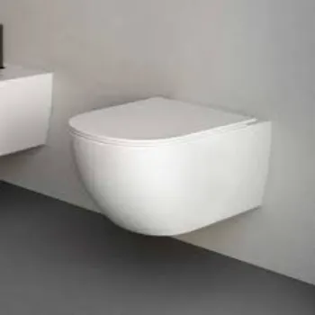 wall-hung-toilet-2-4803218-34429.webp