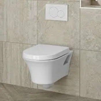 wall-hung-toilet-2-5971411-1476.webp