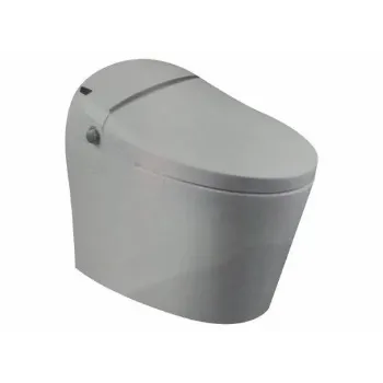 wall-hung-toilet-2-6465309-32218.webp