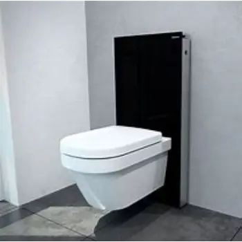 wall-hung-toilet-2-6490195-12993.webp