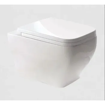 wall-hung-toilet-3-2236833-4166.webp