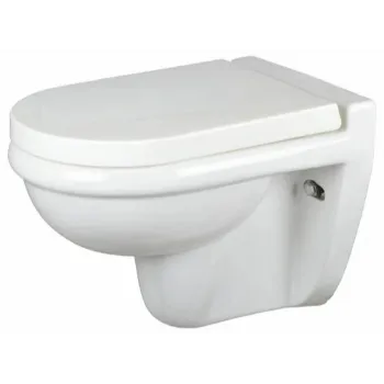 wall-hung-toilet-3-6911631-51087.webp