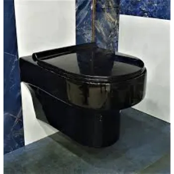 wall-hung-toilet-3-8801827-13347.webp