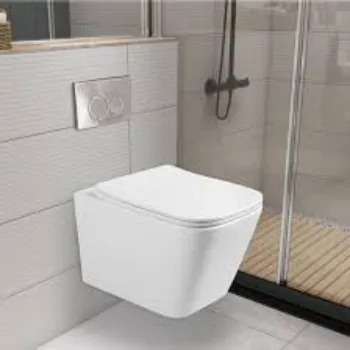wall-hung-toilet-4-1421722-55729.webp