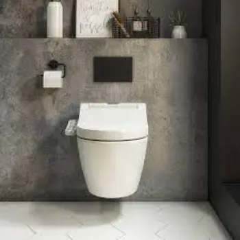 wall-hung-toilet-4-4492062-58023.webp