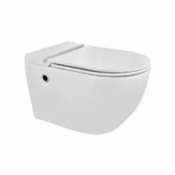 wall-hung-toilet-4-6702751-76143.webp