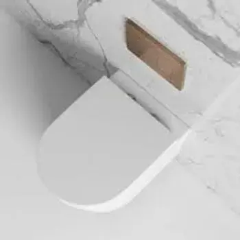 wall-hung-toilet08-4459900-67358.webp