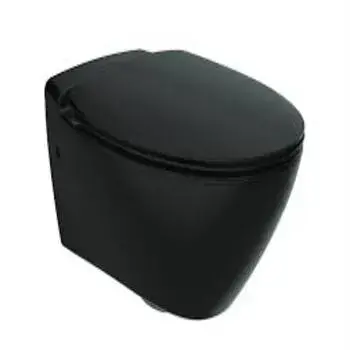 wall-hung-toilet3-1362006-16392.webp