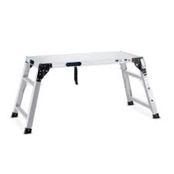 Stainless Steel Industrial Ladders wplat6-9718833-28182.webp